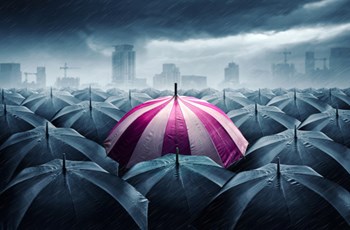 New ICO line for SMEs “Small and Mid-Size Enterprise” and the self-employed