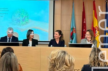 Sustainability, AI and energy