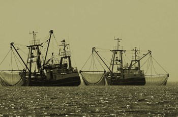 Fisheries Law in the EU