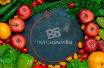 Mercasevilla: Bankruptcy proceeding concluded