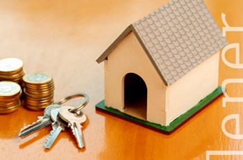 Additional guarantees to the deposit in the rental of housing